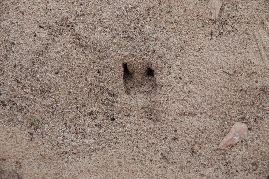 3842 Fm 2029, Telephone, TX 75488 - #3