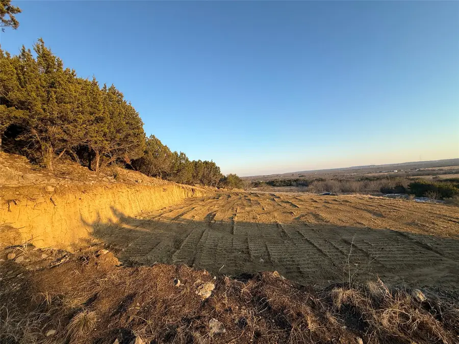 1391 Canyon Wren South Loop, Graford, TX 76449 - #3