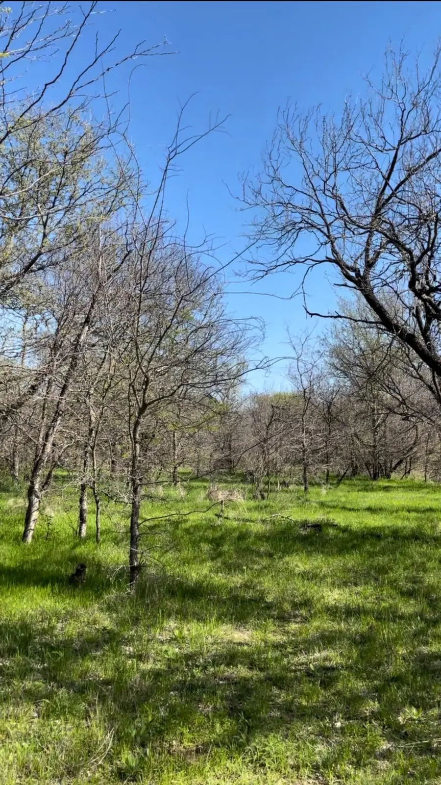 TBD Port O Call Drive, Runaway Bay, TX 76426 - #2