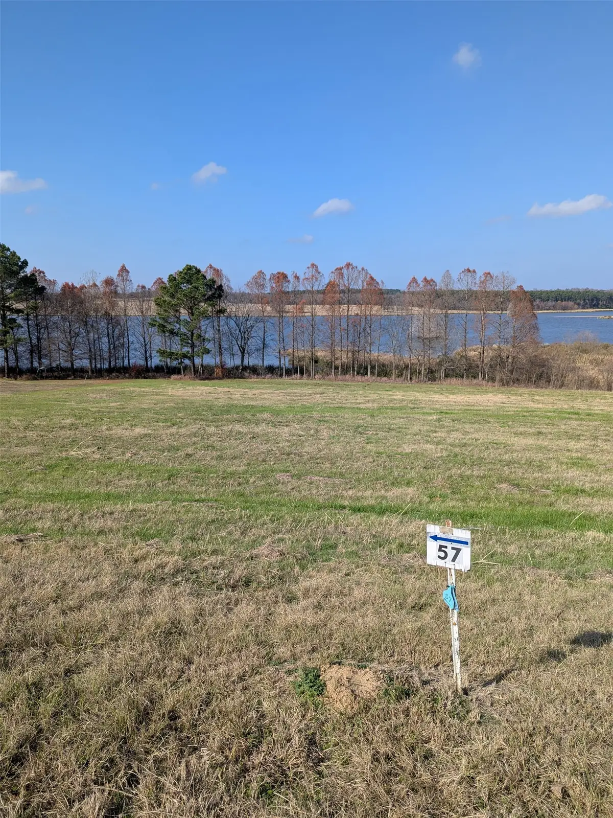 7710 Shore Crest Way, Athens, TX 75752 - #1