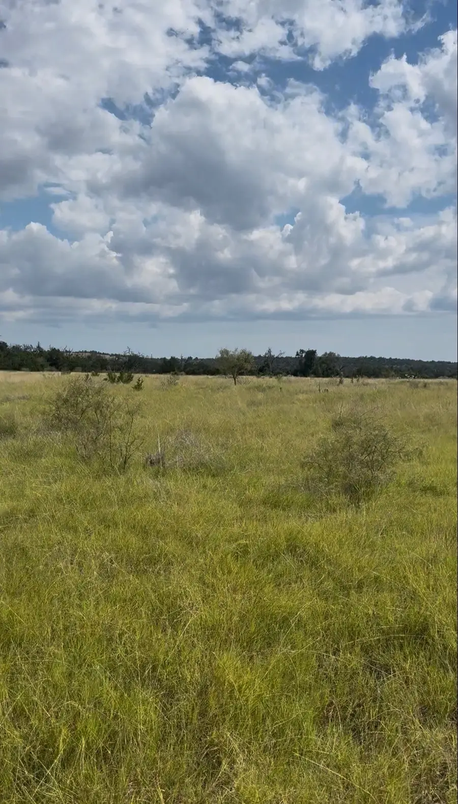 7523 N Grape Rd, Fredericksburg, TX 78624 - #3