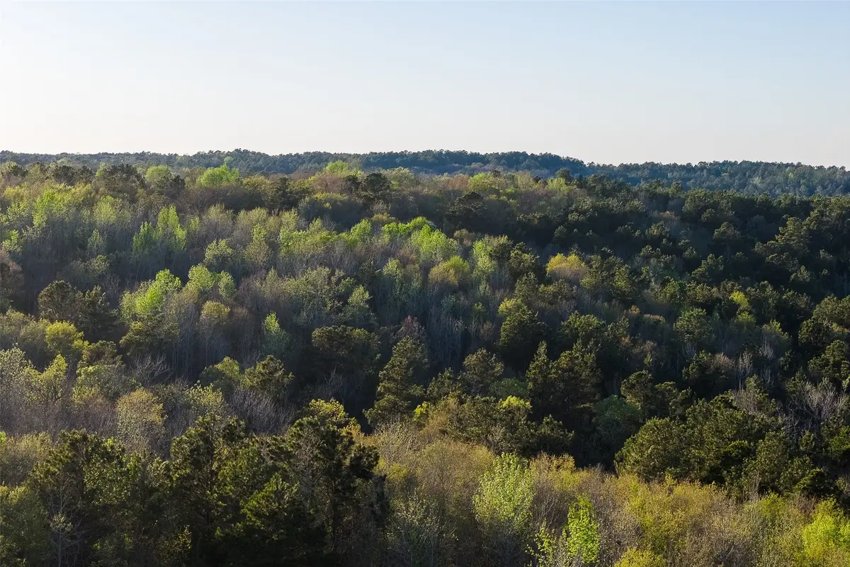 0 Farm To Market Road 747, Jacksonville, TX 75766 - #1