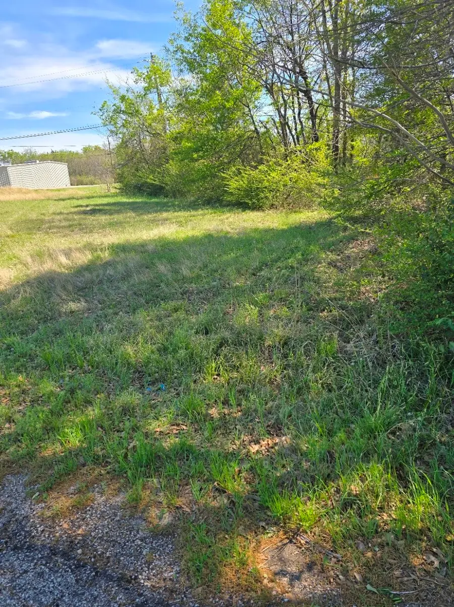 Lot 39 Loon Bay Drive, Gun Barrel City, TX 75156 - #3