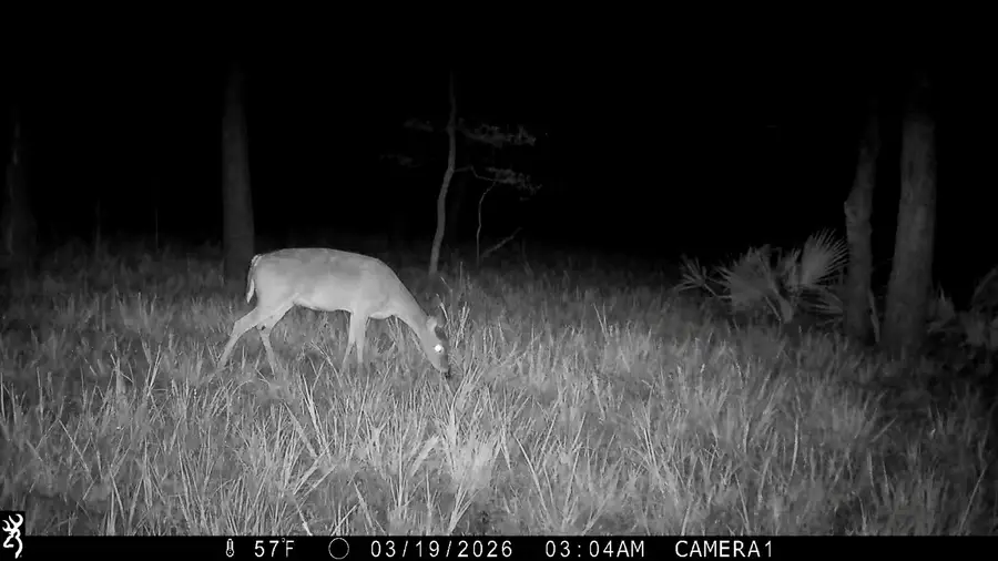 none T.b.d. C.r. 386, Marquez, TX 77865 - #3