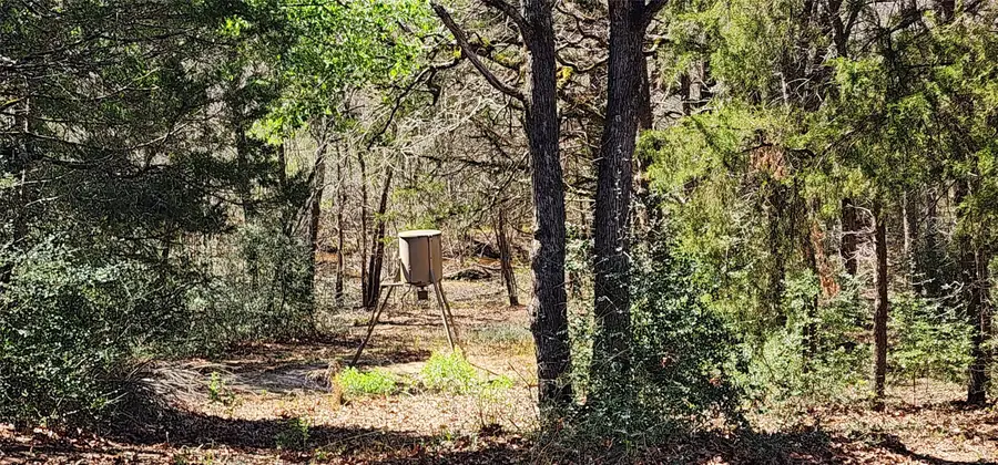 14612 County Road 1114, Athens, TX 75751 - #2