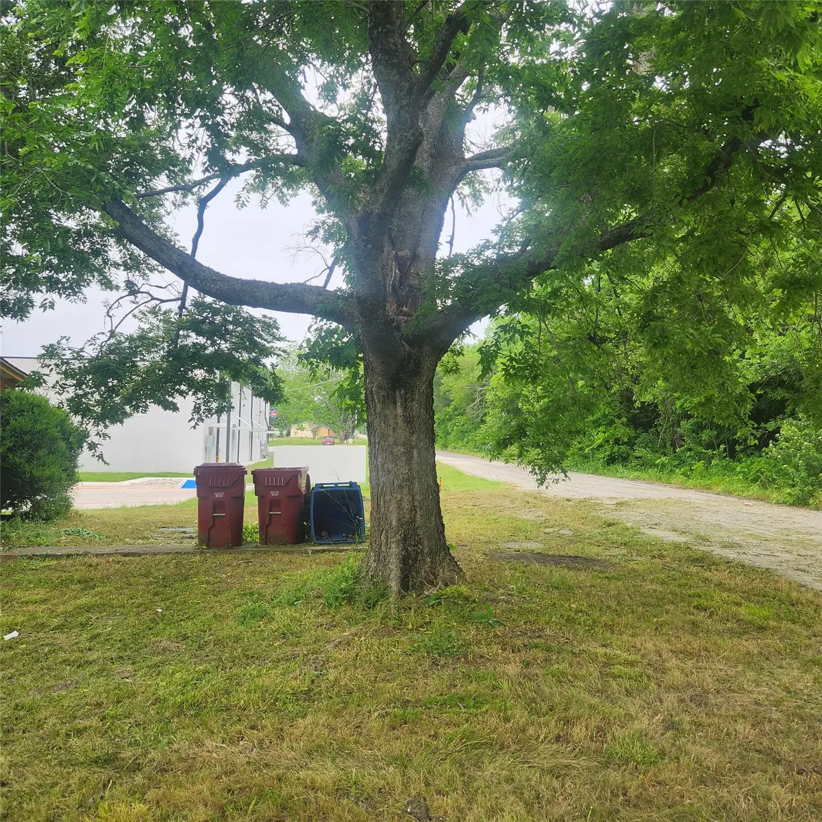 520 Locust Street, Farmersville, TX 75442 - #1