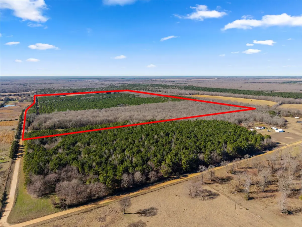 2116 Cr 4314, Dalby Springs Simms, TX 75503 - #1