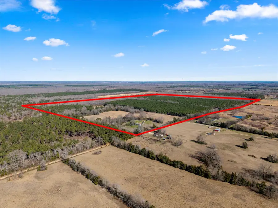 2116 Cr 4314, Dalby Springs Simms, TX 75503 - #3