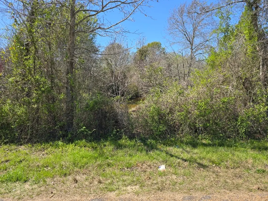 TBD Cr-3819, Athens, TX 75752 - #1