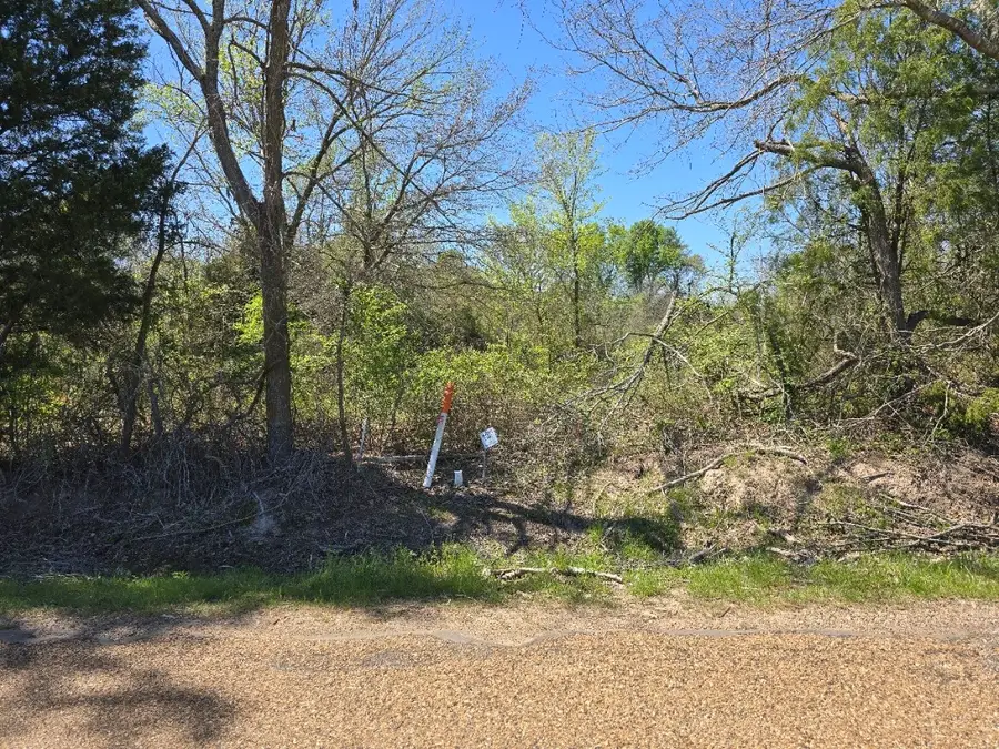 TBD Cr-3819, Athens, TX 75752 - #2