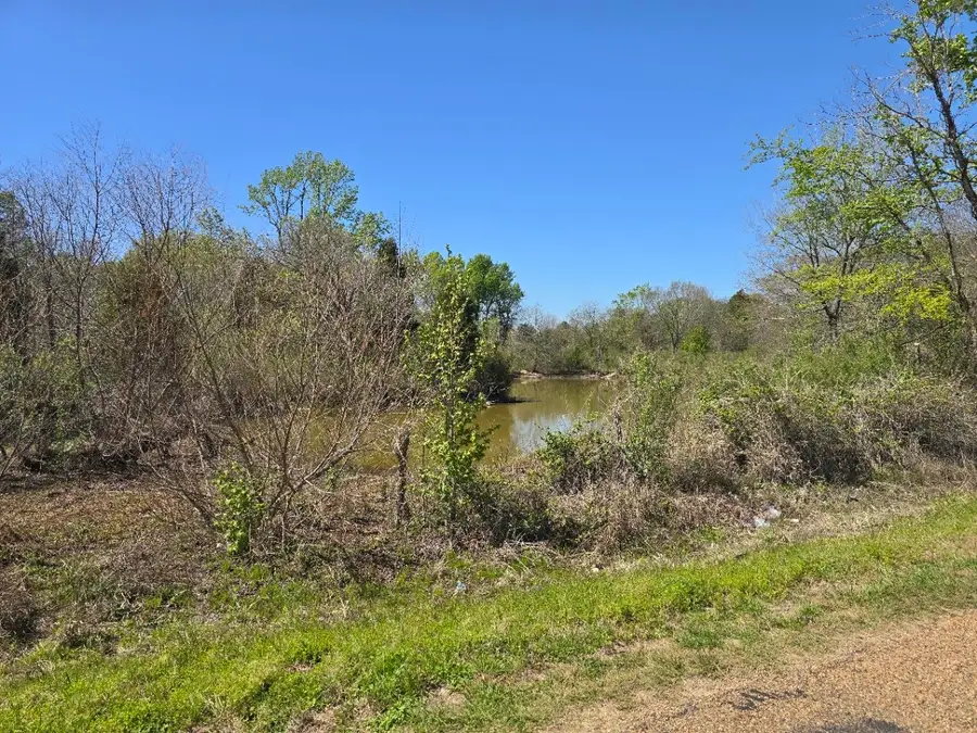 TBD Cr-3819, Athens, TX 75752 - #3