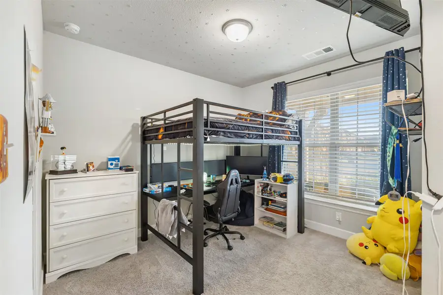 324 Moonvine Drive, Little Elm, TX 75068 - #3