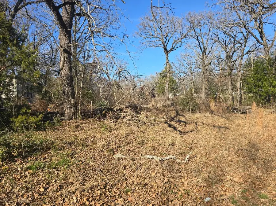 Lot 699 Shady Grove Road, Gun Barrel City, TX 75156 - #2