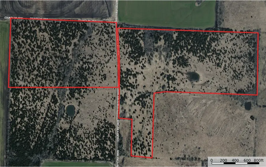 TBD 1 Cr 3805, Bailey, TX 75413 - #2