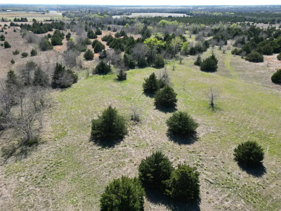 TBD 1 Cr 3805, Bailey, TX 75413 - #3