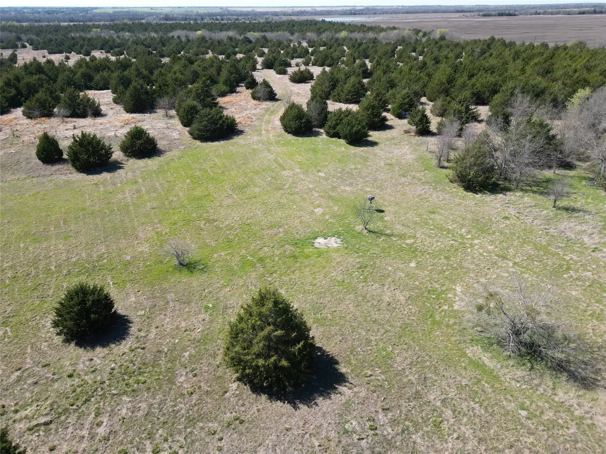 TBD 2 Cr 3805, Bailey, TX 75413 - #1
