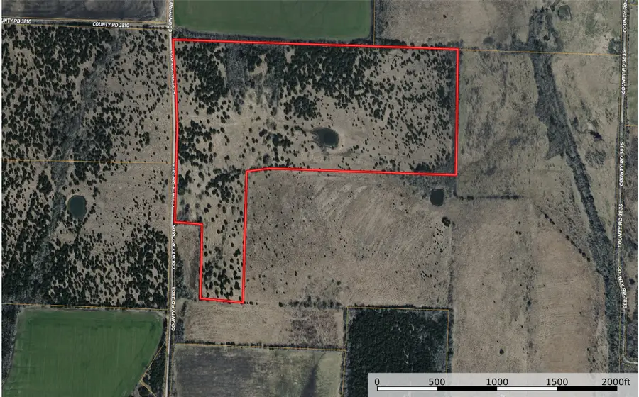 TBD 2 Cr 3805, Bailey, TX 75413 - #3