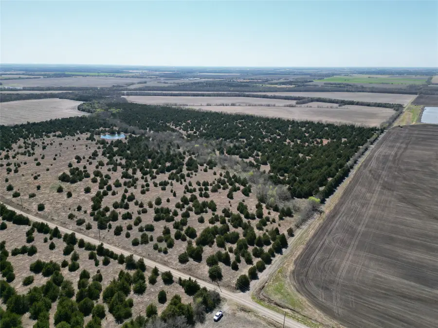 TBD 3 Cr 3805, Bailey, TX 75413 - #2