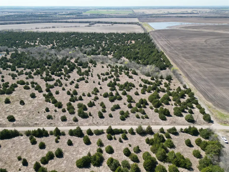 TBD 3 Cr 3805, Bailey, TX 75413 - #3