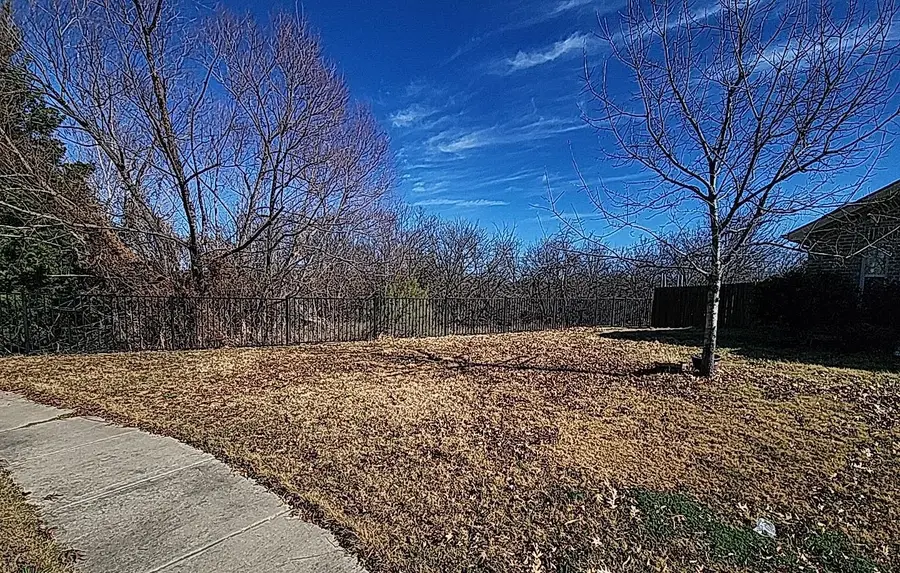 12024 Clearpoint Court, Frisco, TX 75036 - #3