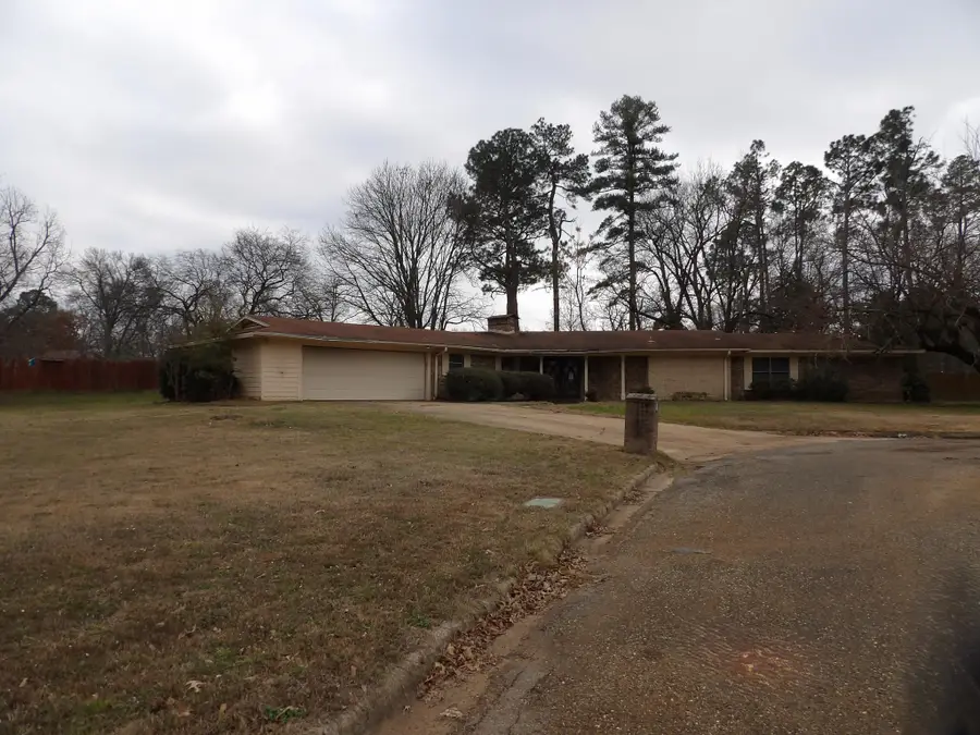 107 Nila Street, Mount Vernon, TX 75457 - #2