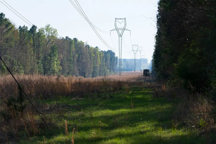 00 Off Of State Highway 294, Alto, TX 75925 - #2