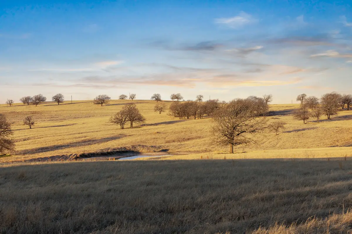 TBD Odom Road, Nocona, TX 76255 - #1