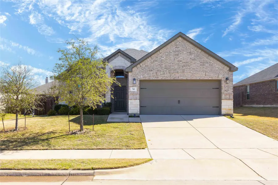 703 Dripping Springs Lane, Cleburne, TX 76033 - #2