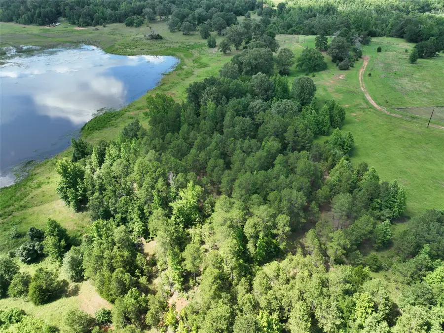 TBD County Road 3860, Lot 76, Hawkins, TX 75765 - #2