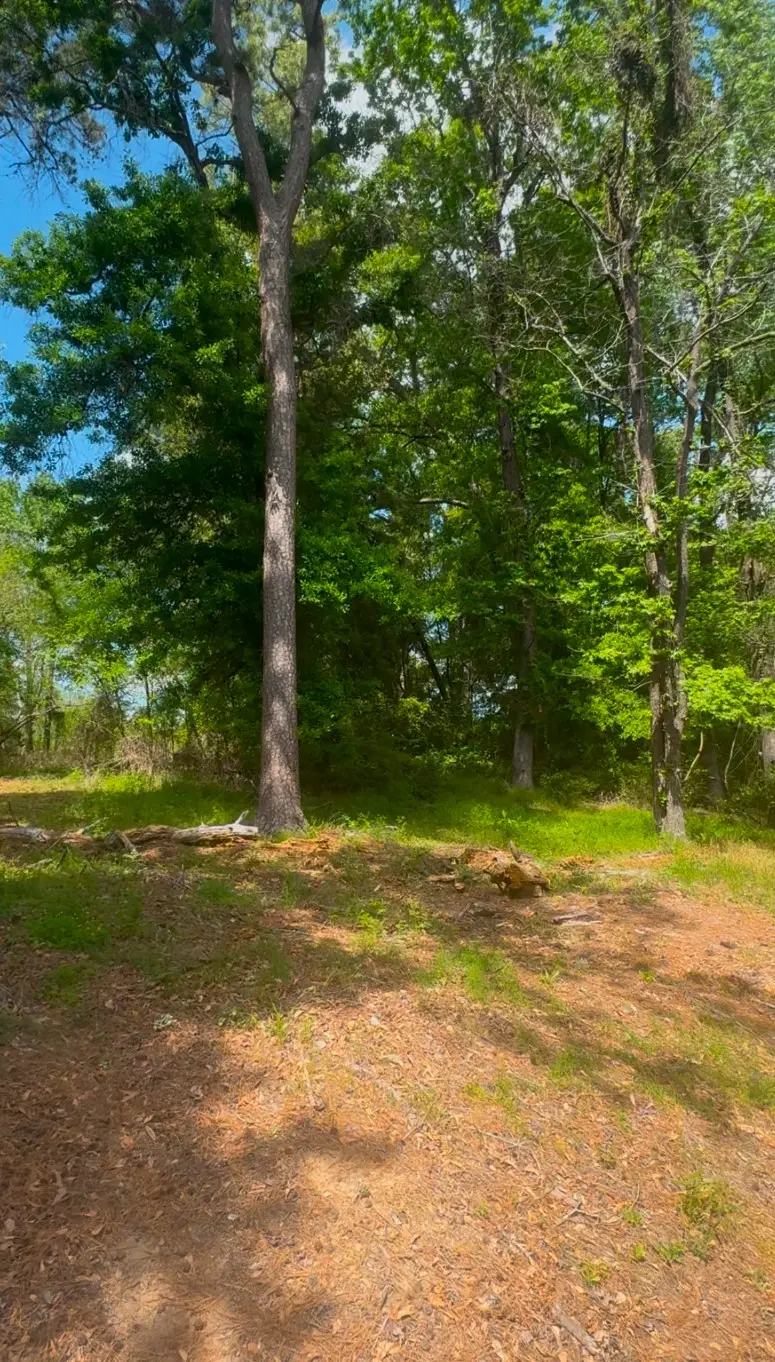 0 Turner Lane, Shreveport, LA 71106 - #3