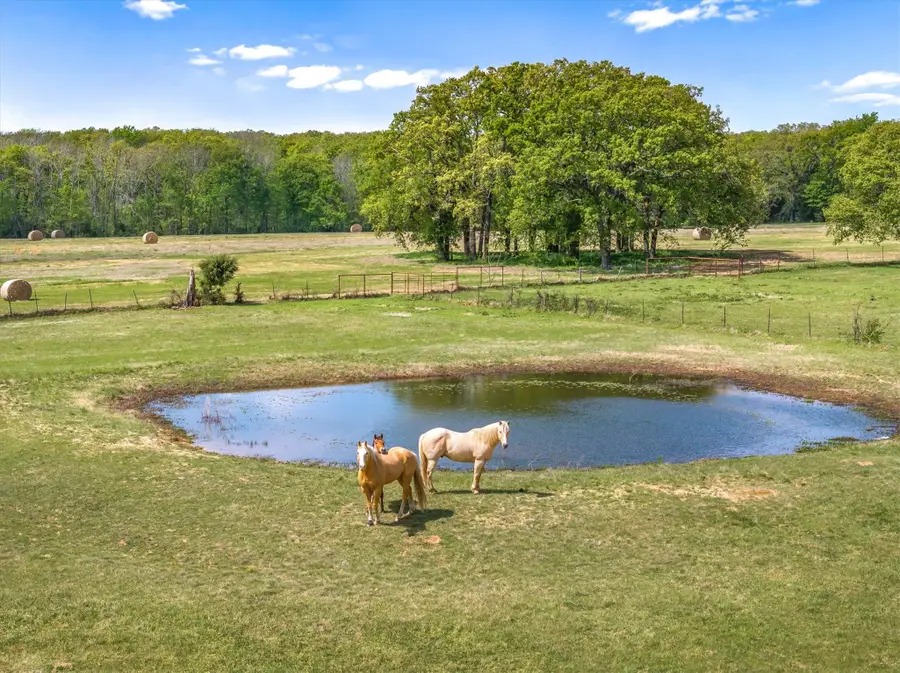 260 Vz County Road 3531, Edgewood, TX 75117 - #2