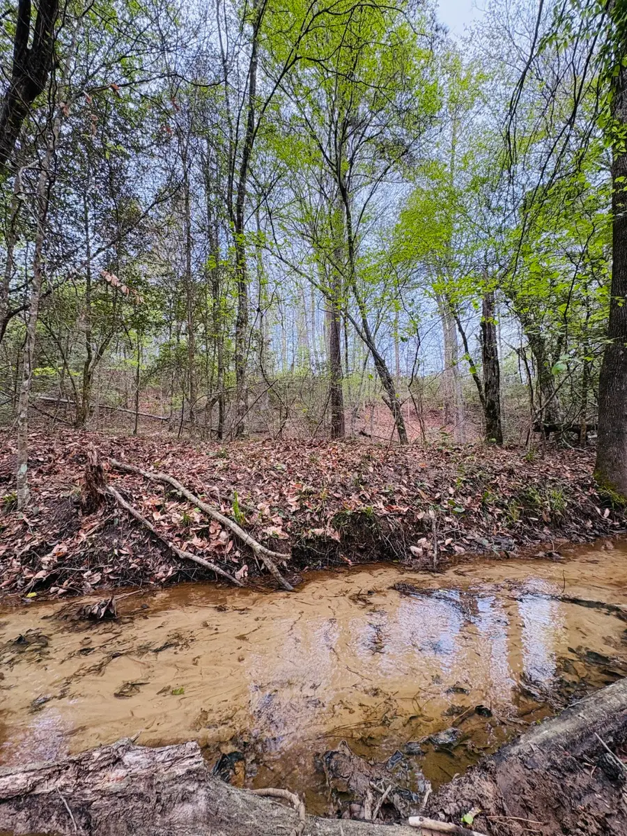 TBD Fm 711, Center, TX 75935 - #2