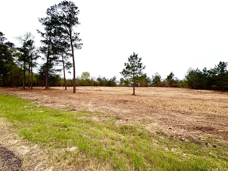 TBD Fm 711, Center, TX 75935 - #3