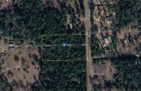 17050 Adler Road, No City, TX 77484