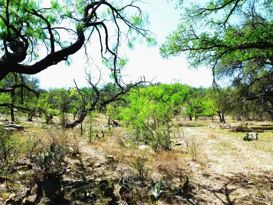 TBD Hwy 377 S, Brookesmith, TX 76827 - #2