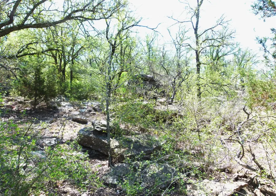 TBD Hwy 377 S, Brookesmith, TX 76827 - #3