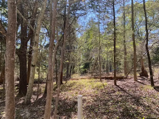 TBD Armadillo Drive, Murchison, TX 75778 - #2