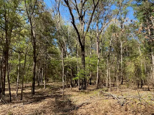 TBD Armadillo Drive, Murchison, TX 75778 - #3