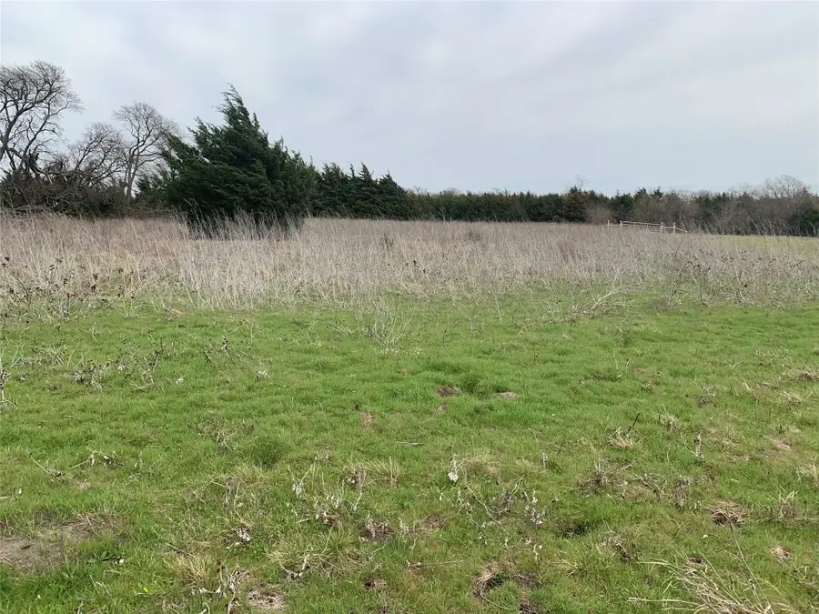 10843 E Line Road, Trenton, TX 75490 - #3