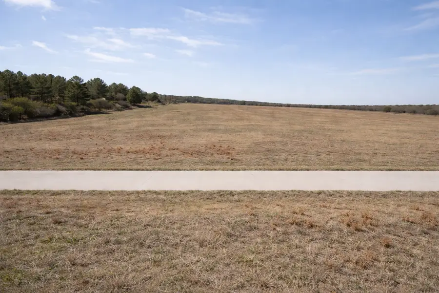 6001 Conifer Court, Poolville, TX 76487 - #2