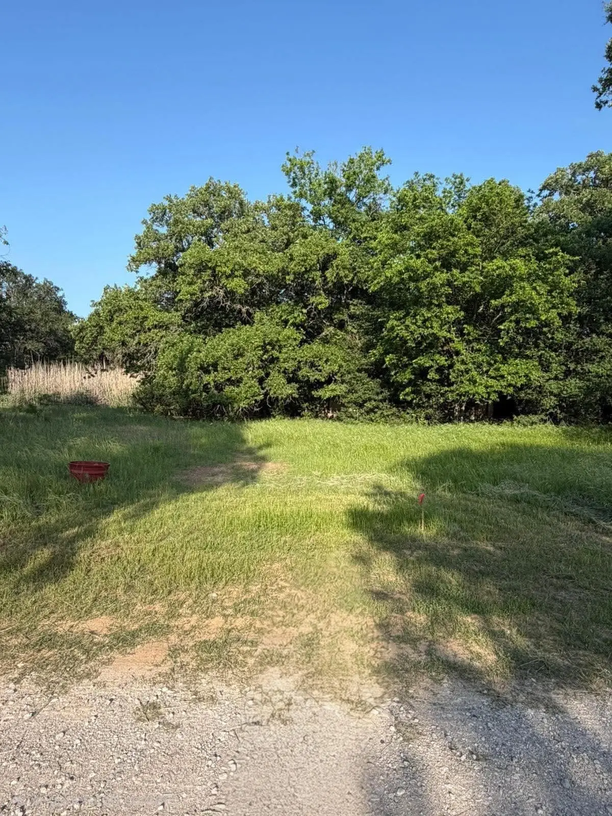 304 Mcguire Street, Mingus, TX 76463 - #1