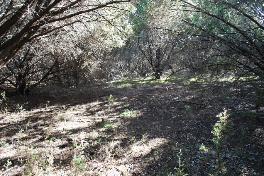 8182 Cedar Crest Drive, Whitney, TX 76692 - #2