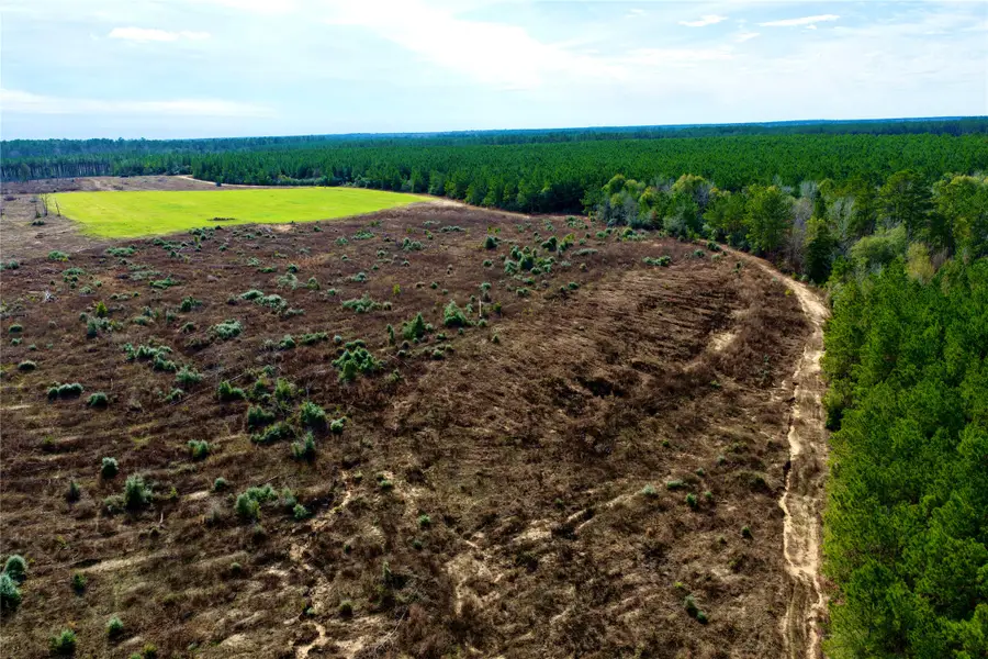 TBD Segno Fire Lane, Livingston, TX 77351 - #3