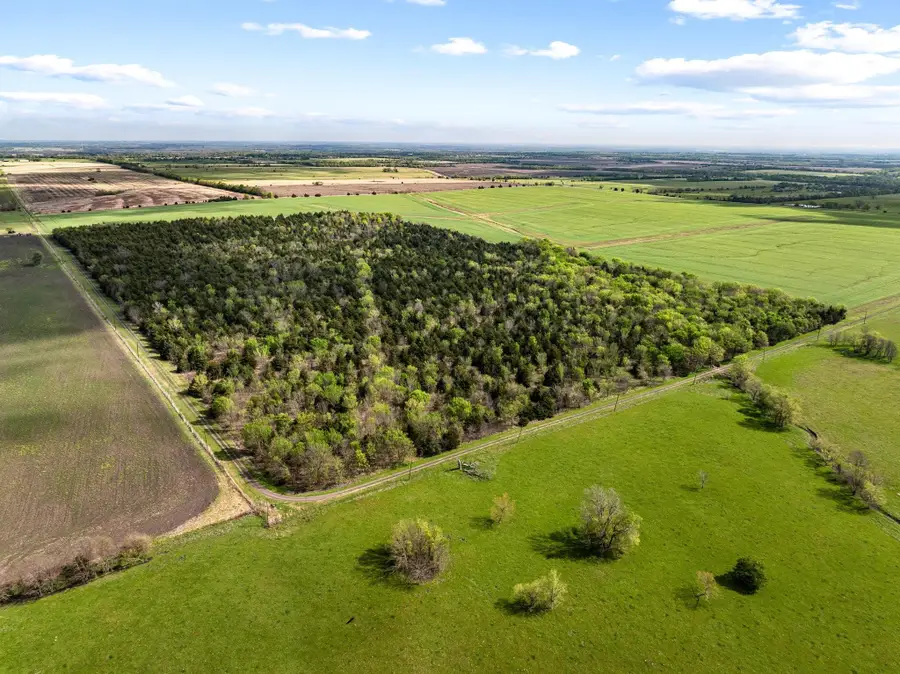 TBD County Road 3230, Ben Franklin, TX 75415 - #2