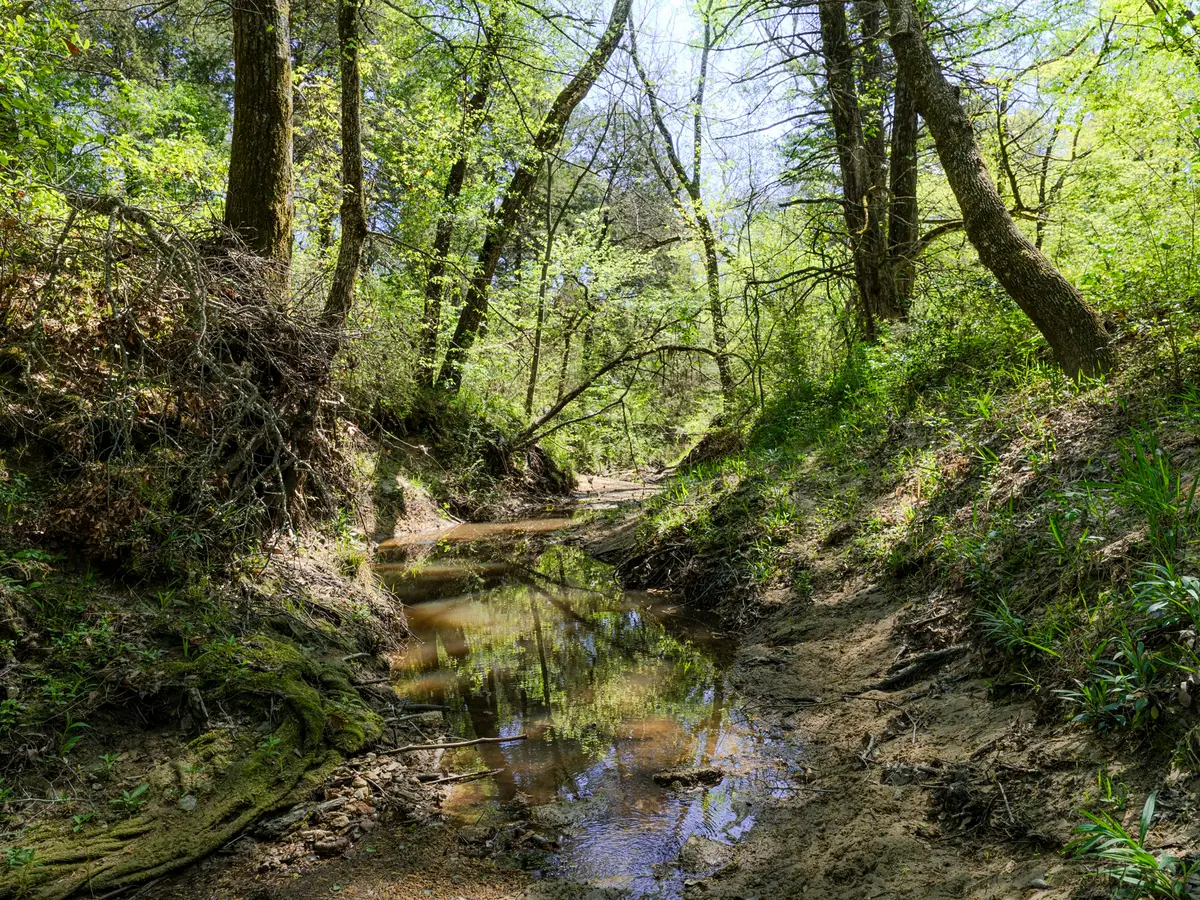 0 County Road 3306, Greenville, TX 75401 - #1