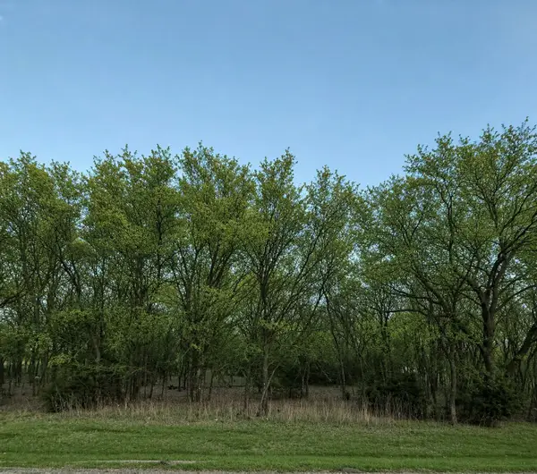 8093 Canja Drive, Fort Worth, TX 76126