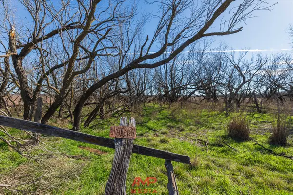 T B D County Road 260, Avoca, TX 79503