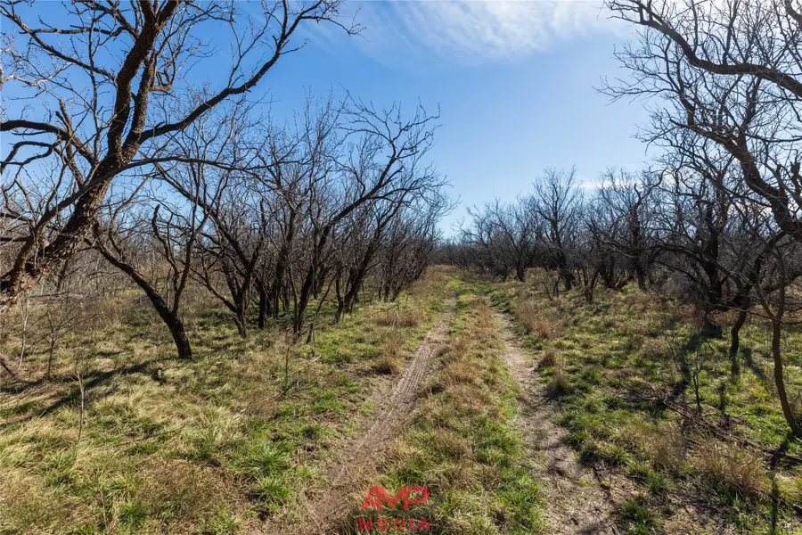 T B D County Road 260, Avoca, TX 79503 - #2