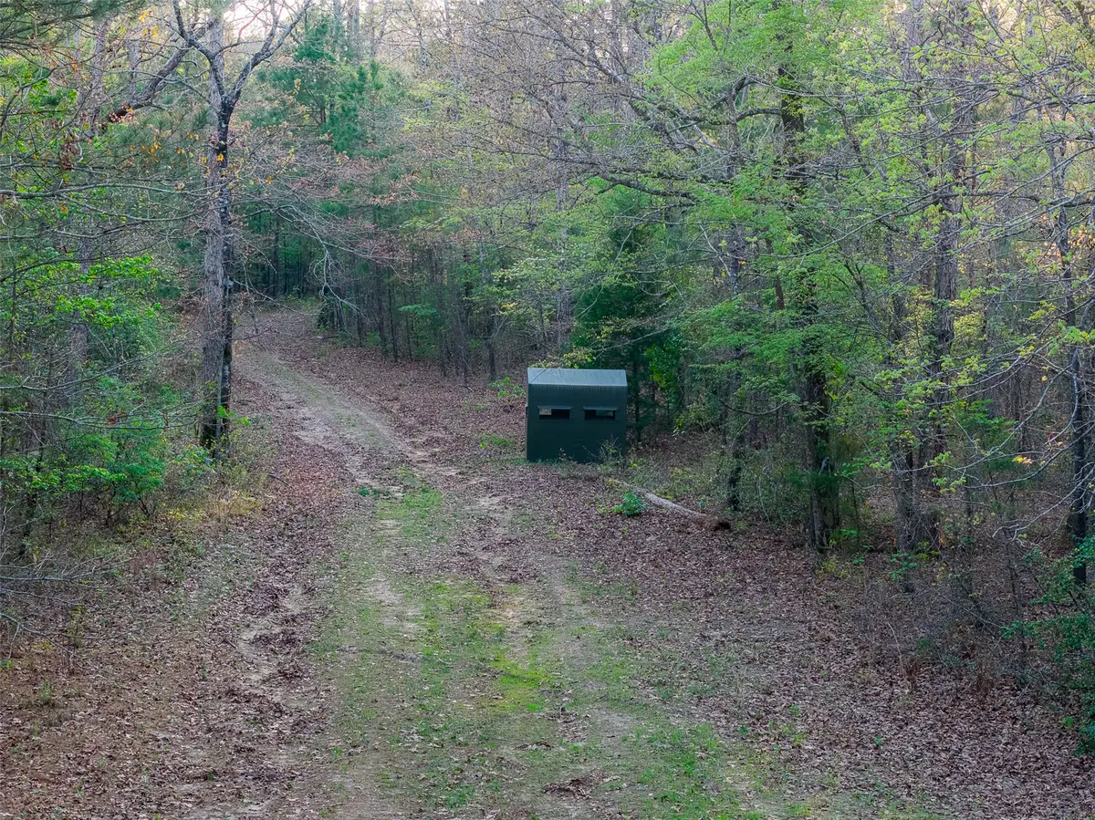 923 W Main St, Ore City, TX 75683 - #1