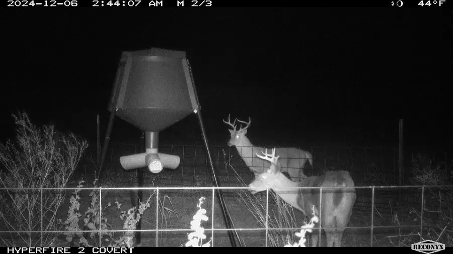 11439 Fm 1602 (124), Jonesboro, TX 76538 - #2